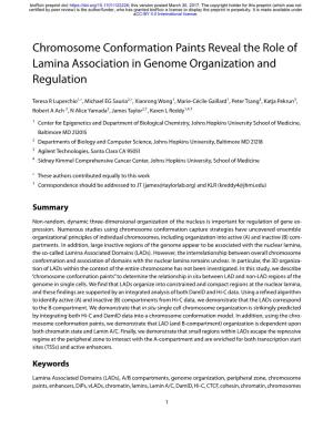 Chromosome Conformation Paints Reveal the Role of Lamina Association in Genome Organization and Regulation