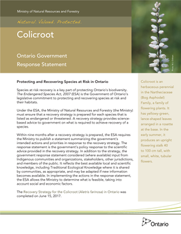 Colicroot Ontario Government Response Statement