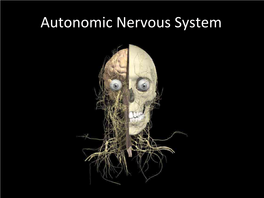 Autonomic Nervous System Autonomic Nervous System