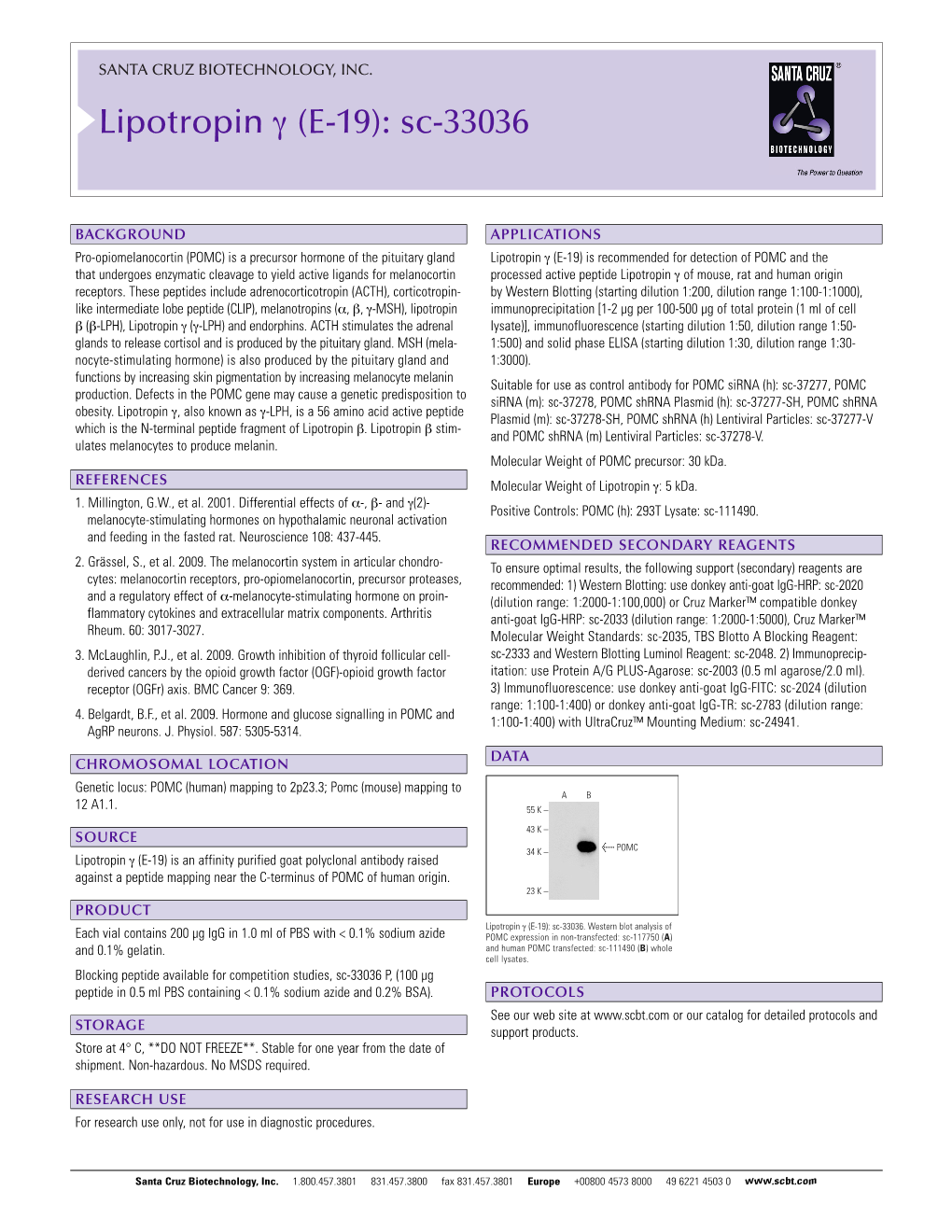 Lipotropin Γ (E-19): Sc-33036