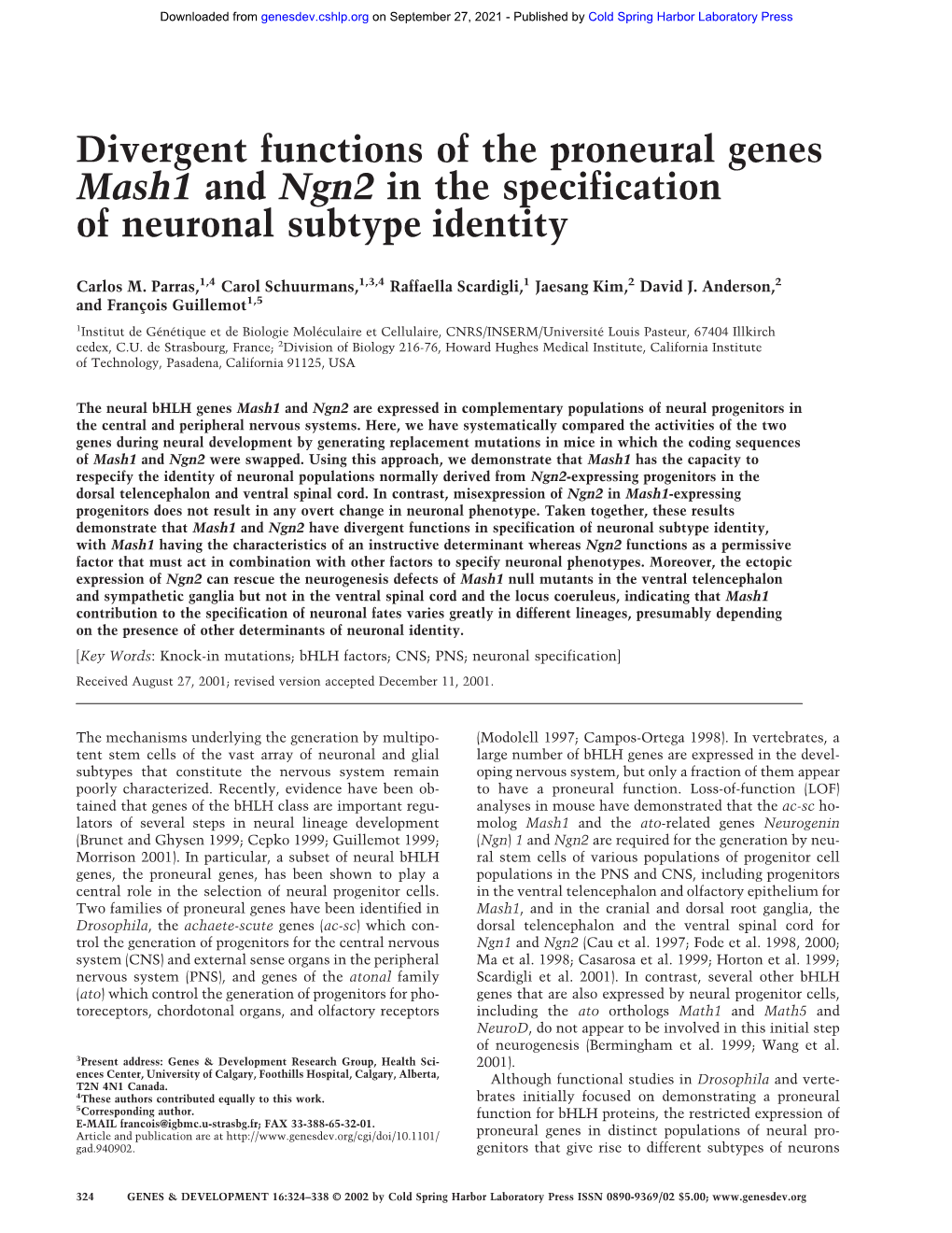 Divergent Functions of the Proneural Genes Mash1 and Ngn2 in the Specification of Neuronal Subtype Identity