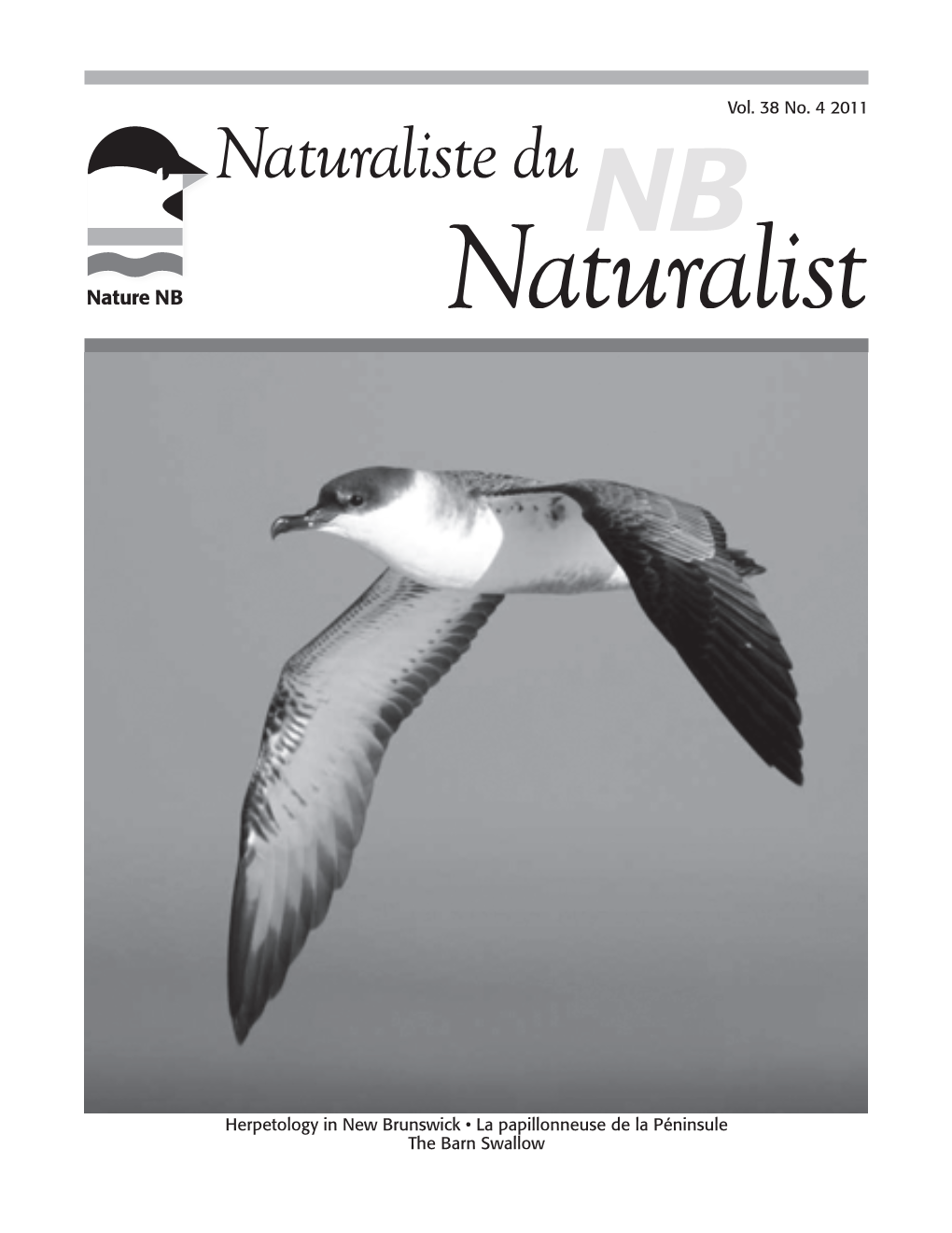 NB Naturalist Vol. 38 No. 04