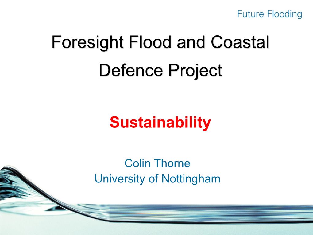 Foresight Flood and Coastal Defence Project