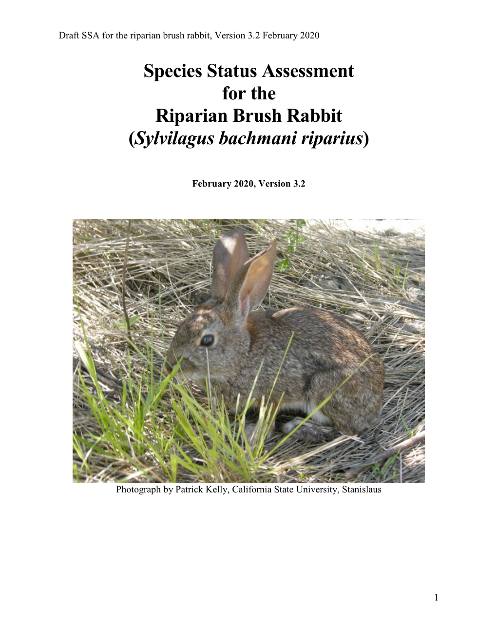 Species Status Assessment for the Riparian Brush Rabbit (Sylvilagus Bachmani Riparius)