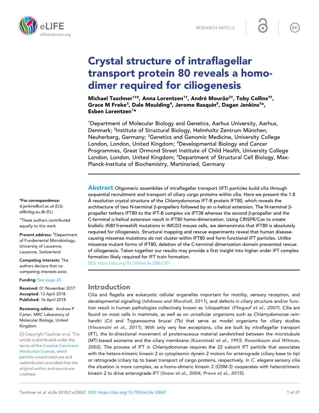 Crystal Structure of Intraflagellar Transport Protein 80 Reveals a Homo