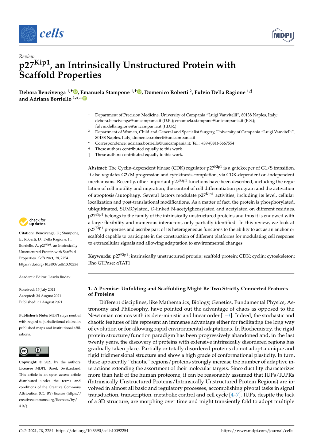 P27kip1, an Intrinsically Unstructured Protein with Scaffold Properties