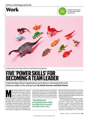 'Power Skills' for Becoming a Team Leader
