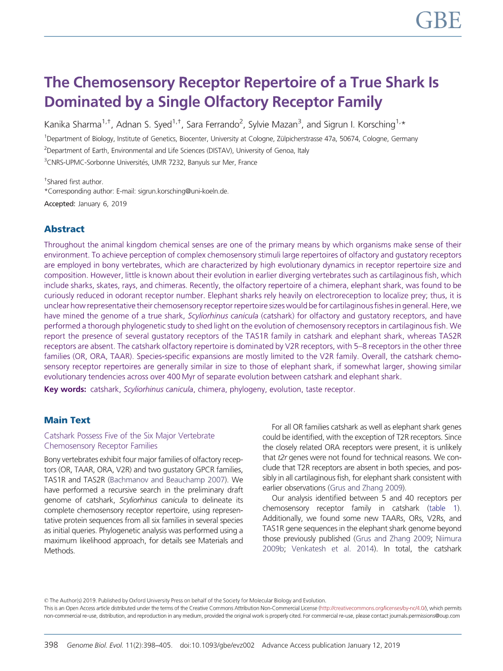 The Chemosensory Receptor Repertoire of a True Shark Is Dominated by a Single Olfactory Receptor Family