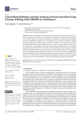 Lateral Root Initiation and the Analysis of Gene Function Using Genome Editing with CRISPR in Arabidopsis