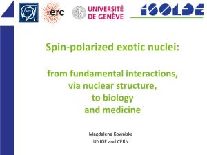 Spin-Polarized Exotic Nuclei