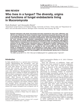 Who Lives in a Fungus? the Diversity, Origins and Functions of Fungal Endobacteria Living in Mucoromycota