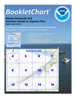 Bookletchart™ Alaska Peninsula and Aleutian Islands to Seguam Pass NOAA Chart 16011