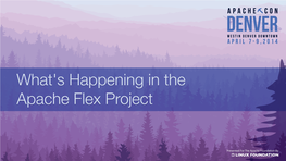 What's Happening in the Apache Flex Project