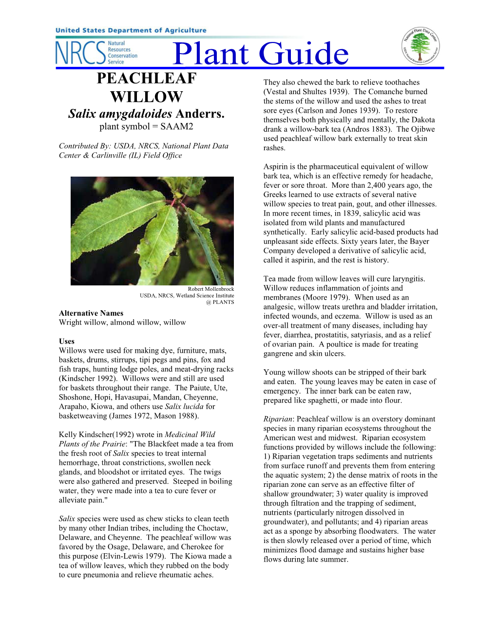Peachleaf Willow Bark Externally to Treat Skin Contributed By: USDA ...