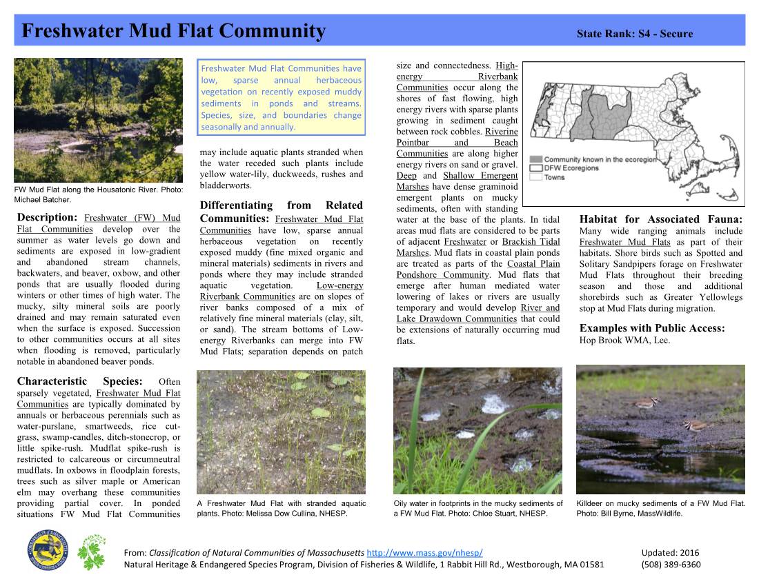 Unity Freshwater Mud Flat Community