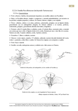 3.2.2.6. Familia Passifloraceae (Incluyendo Turneraceae) 3.2.2.6.A