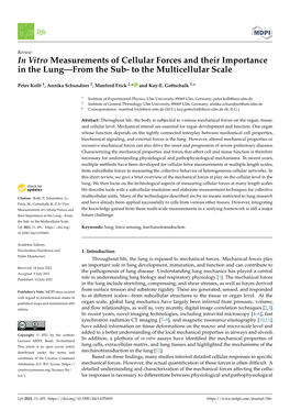 In Vitro Measurements of Cellular Forces and Their Importance in the Lung—From the Sub- to the Multicellular Scale