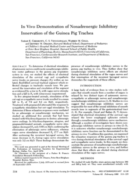In Vivo Demonstration of Nonadrenergic Inhibitory Innervation of the Guinea Pig Trachea