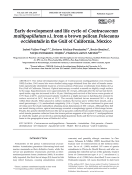 Early Development and Life Cycle of Contracaecum Multipapillatum Sl