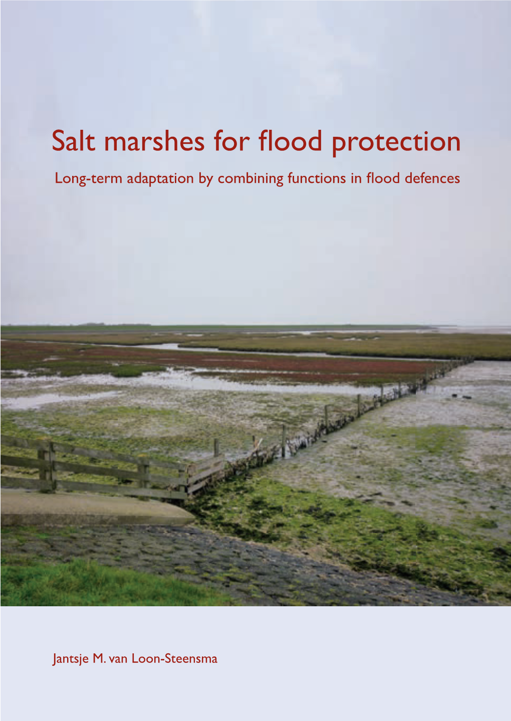 Salt Marshes for Flood Protection