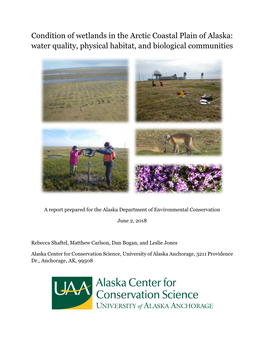 Condition of Wetlands in the Arctic Coastal Plain of Alaska: Water Quality, Physical Habitat, and Biological Communities