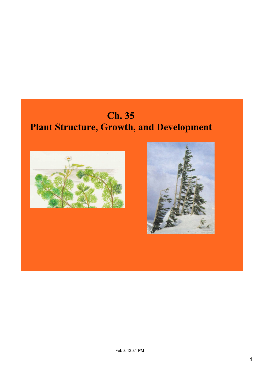 Ch. 35 Plant Structure, Growth, and Development