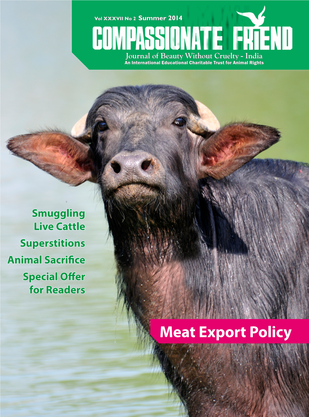 Meat Export Policy