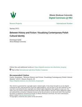 Visualizing Contemporary Polish Cultural Identity