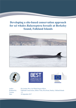 Developing a Site-Based Conservation Approach for Sei Whales Balaenoptera Borealis at Berkeley Sound, Falkland Islands