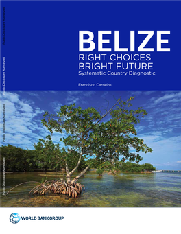 BELIZERIGHT CHOICES BRIGHT FUTURE Systematic Country Diagnostic