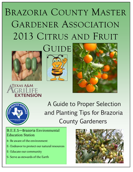 Brazoria County Master Gardener Association 2013 Citrus and Fruit Guide