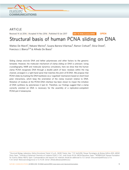 Structural Basis of Human PCNA Sliding on DNA