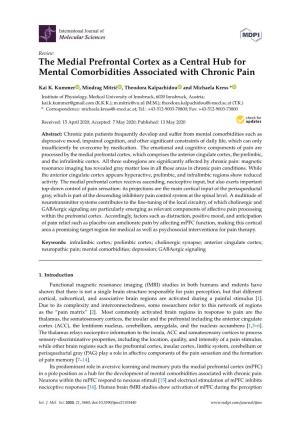 The Medial Prefrontal Cortex As a Central Hub for Mental Comorbidities Associated with Chronic Pain