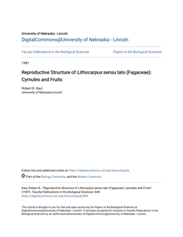 Reproductive Structure of Lithocarpus Sensu Lato (Fagaceae): Cymules and Fruits