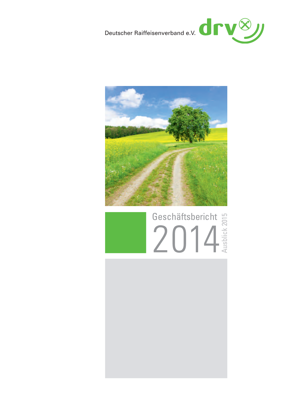 DRV-Geschäftsbericht 2014 | 3