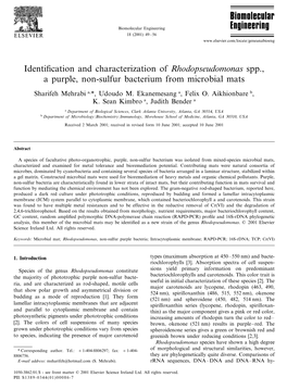 Identification and Characterization of Rhodopseudomonas Spp., a Purple