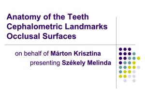Anatomy of the Teeth Cephalometric Landmarks Occlusal Surfaces