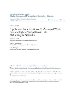 Population Characteristics of Co-Managed White Bass and Hybrid Striped Bass in Lake Mcconaughy, Nebraska Benjamin J