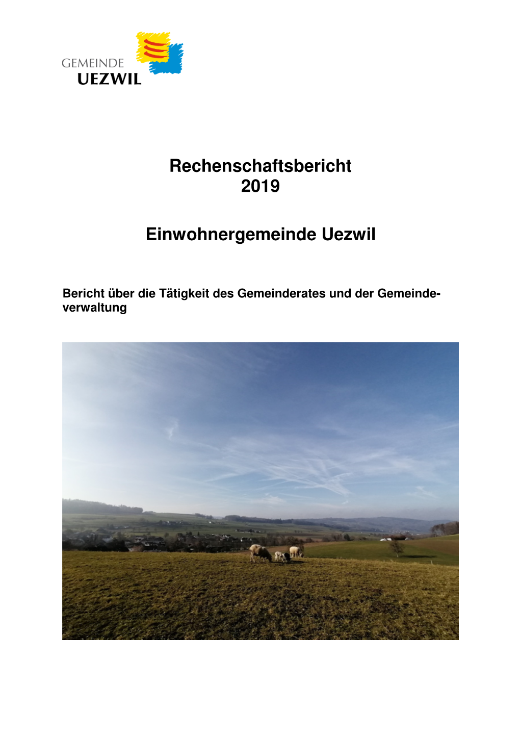 Rechenschaftsbericht EWG 2019, Überarbeiteter Entwurf