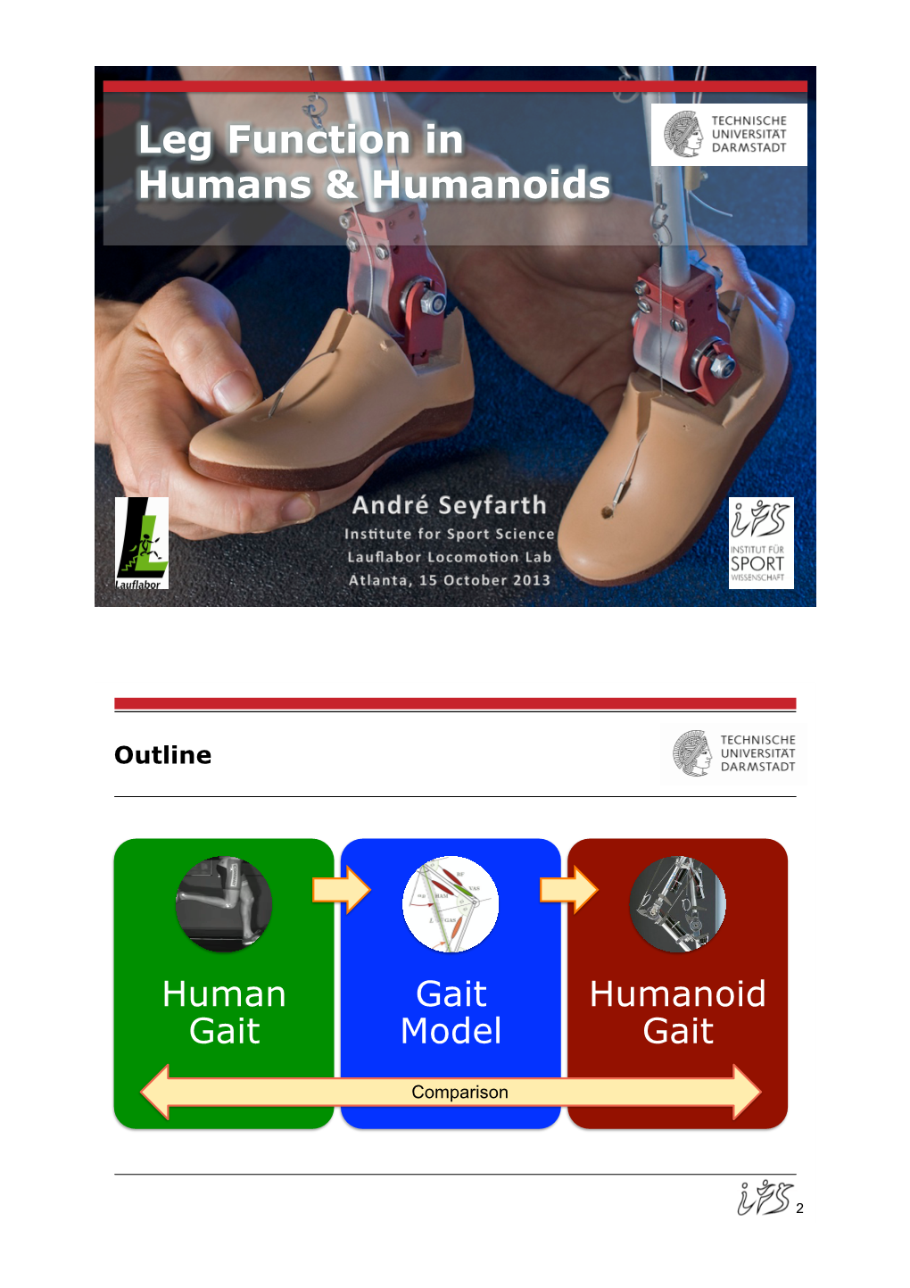 Leg Function in Humans & Humanoids