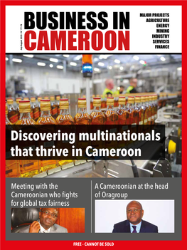 Discovering Multinationals That Thrive in Cameroon