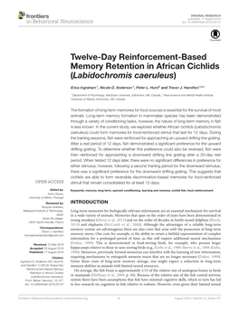 Twelve-Day Reinforcement-Based Memory Retention in African Cichlids (Labidochromis Caeruleus)