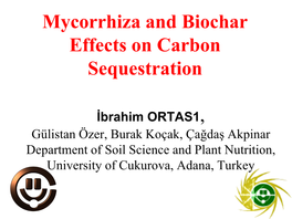 Mycorrhiza and Biochar Effects on Carbon Sequestration