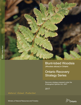 Blunt-Lobed Woodsia 2017 Endangered Speciesact,2007 Recovery Strategypreparedunderthe About the Ontario Recovery Strategy Series