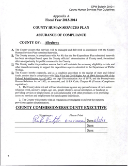 Allegheny County FY 13-14 HSBG Plan