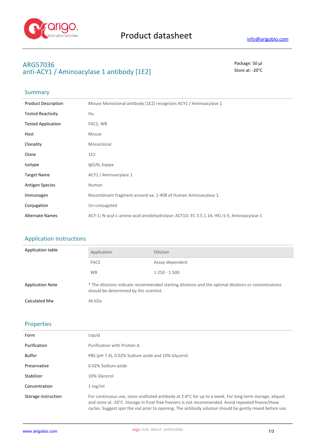 Anti-ACY1 / Aminoacylase 1 Antibody [1E2] (ARG57036)