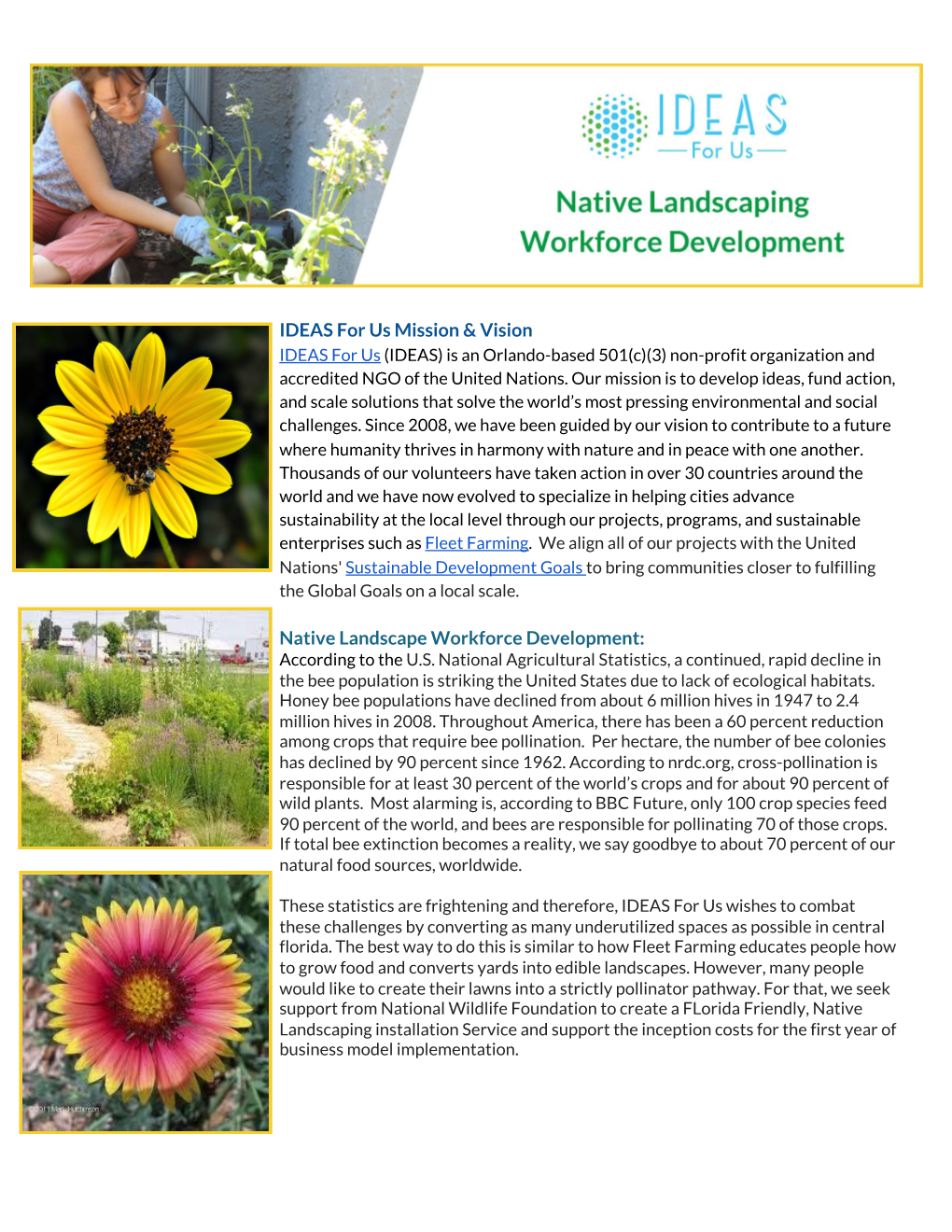 IDEAS for Us Mission & Vision Native Landscape Workforce Development