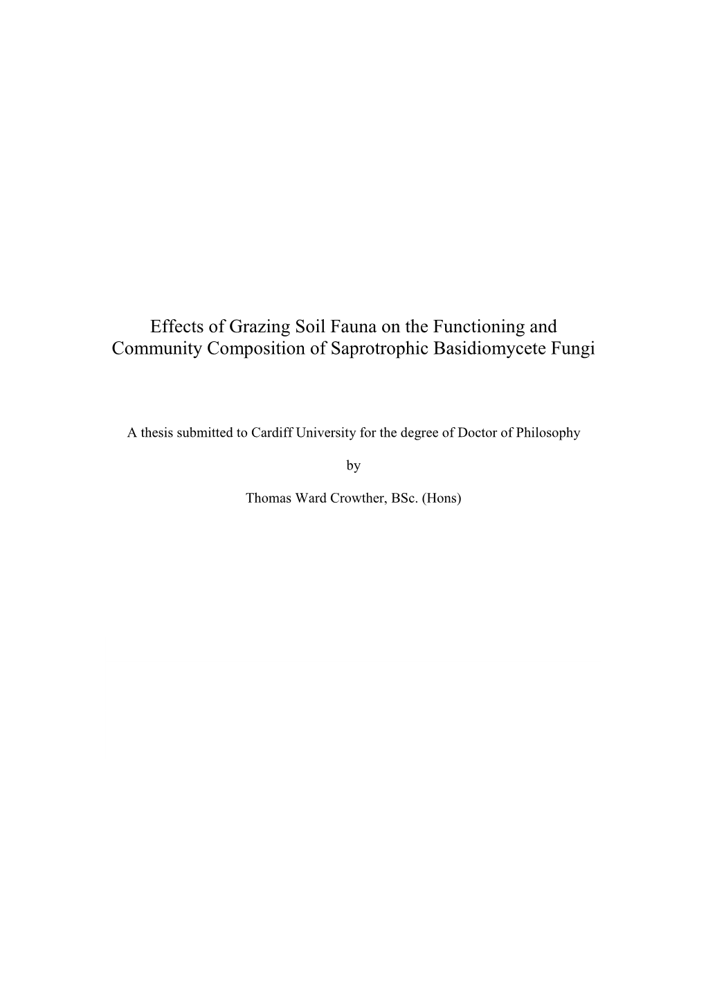 Effects of Grazing Soil Fauna on the Functioning and Community Composition of Saprotrophic Basidiomycete Fungi