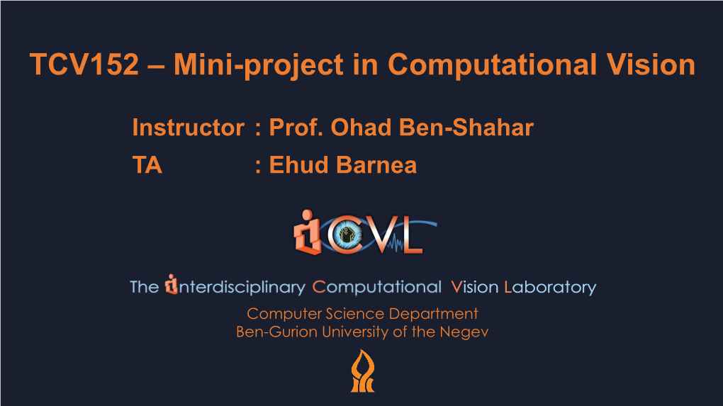 TCV152 – Mini-Project in Computational Vision