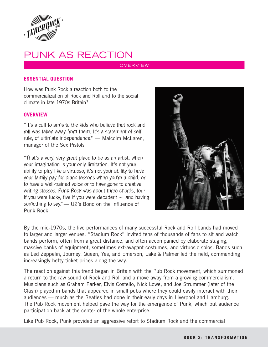 Punk As Reaction Overview